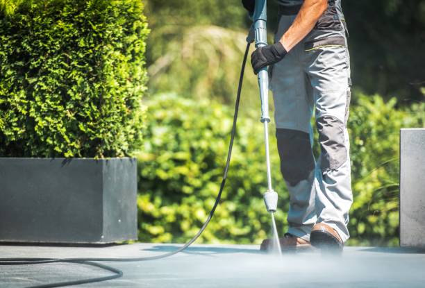 Boat and Dock Cleaning in Kenton, TN